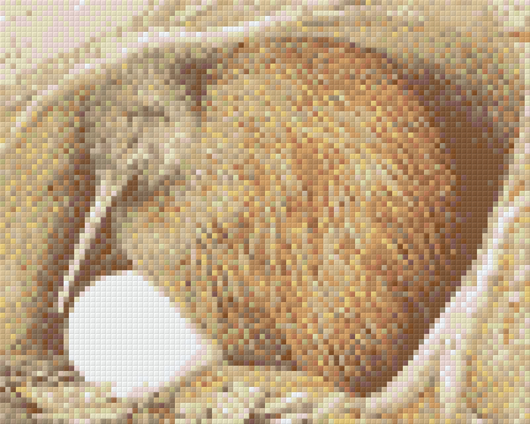 Kiwi And Egg Four [4] Baseplate PixelHobby Mini-mosaic Art Kit image 0